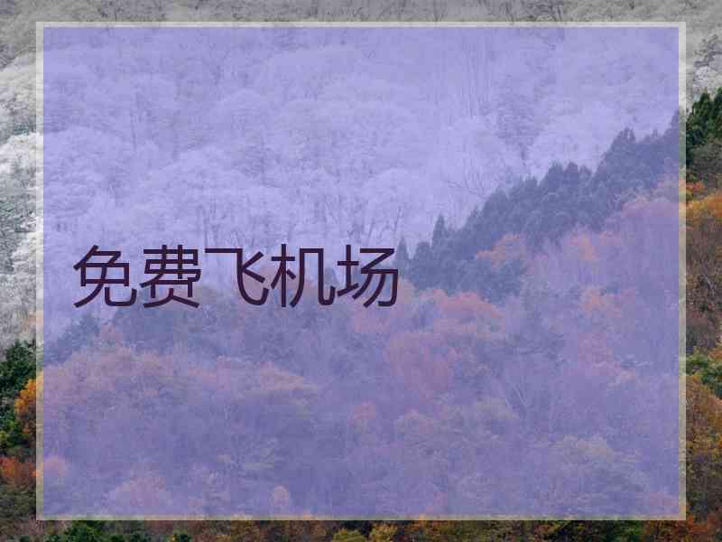 免费飞机场